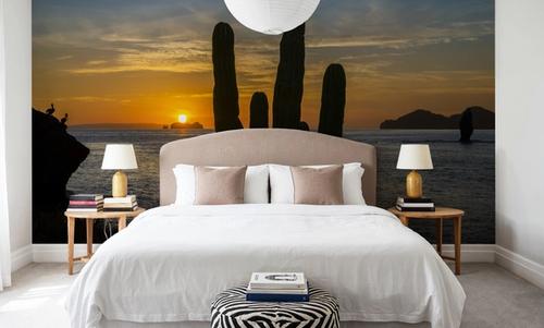 Cactus Coast
