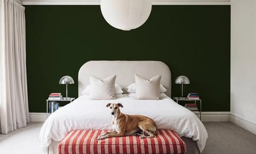 Linen Mist Bright Collection, Grass Green