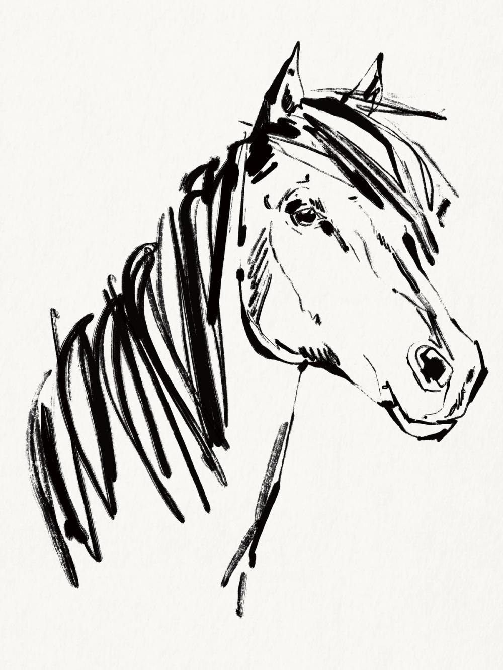 Horse Portrait Sketch