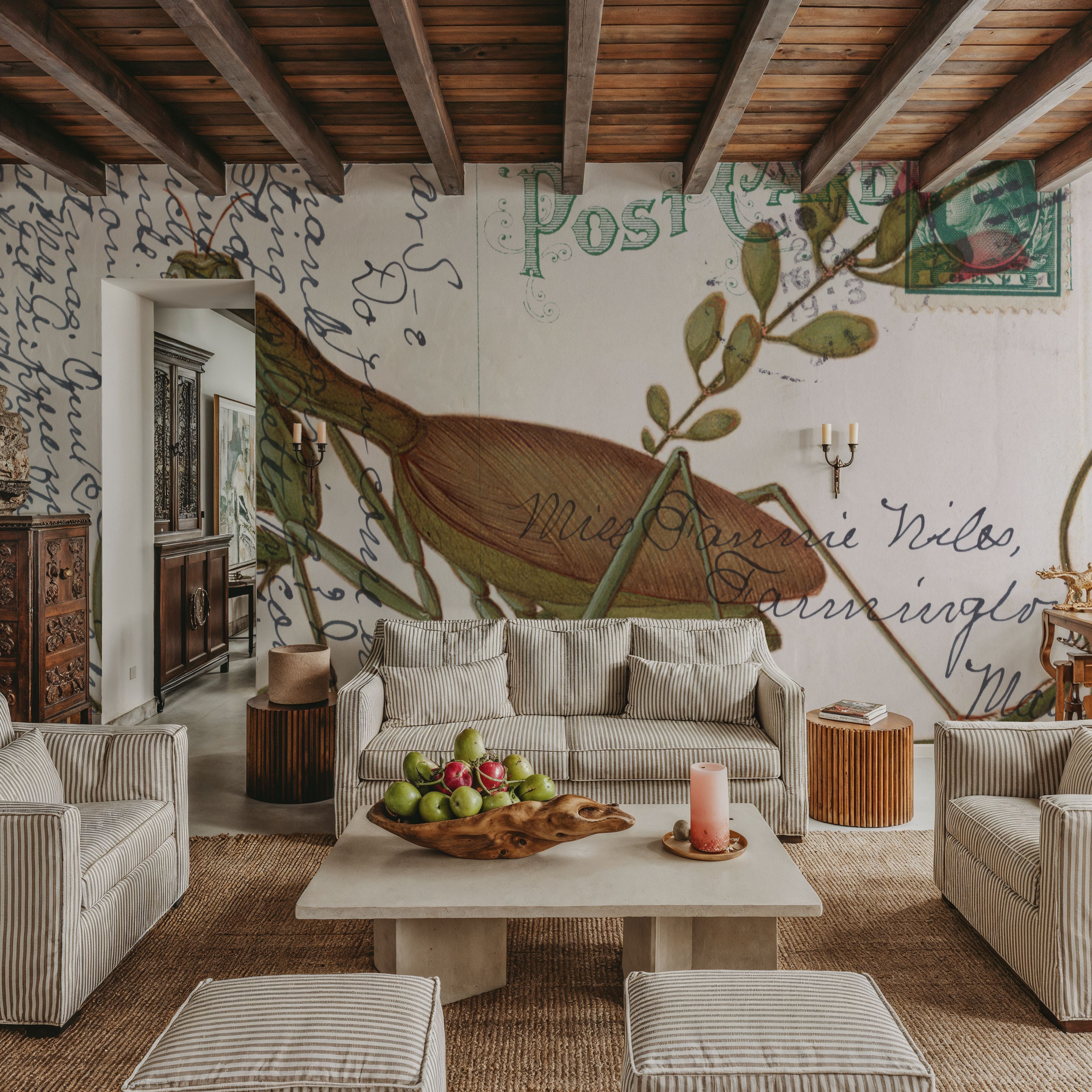 Praying Mantis Postcard