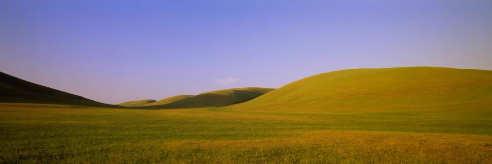 Rolling Meadows