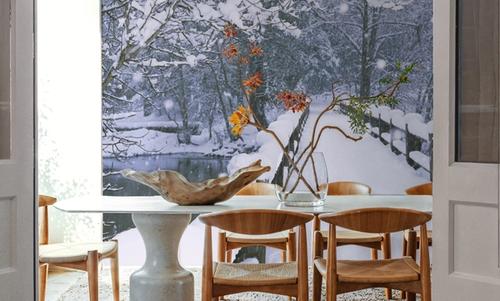 Winter Bridge Serenity