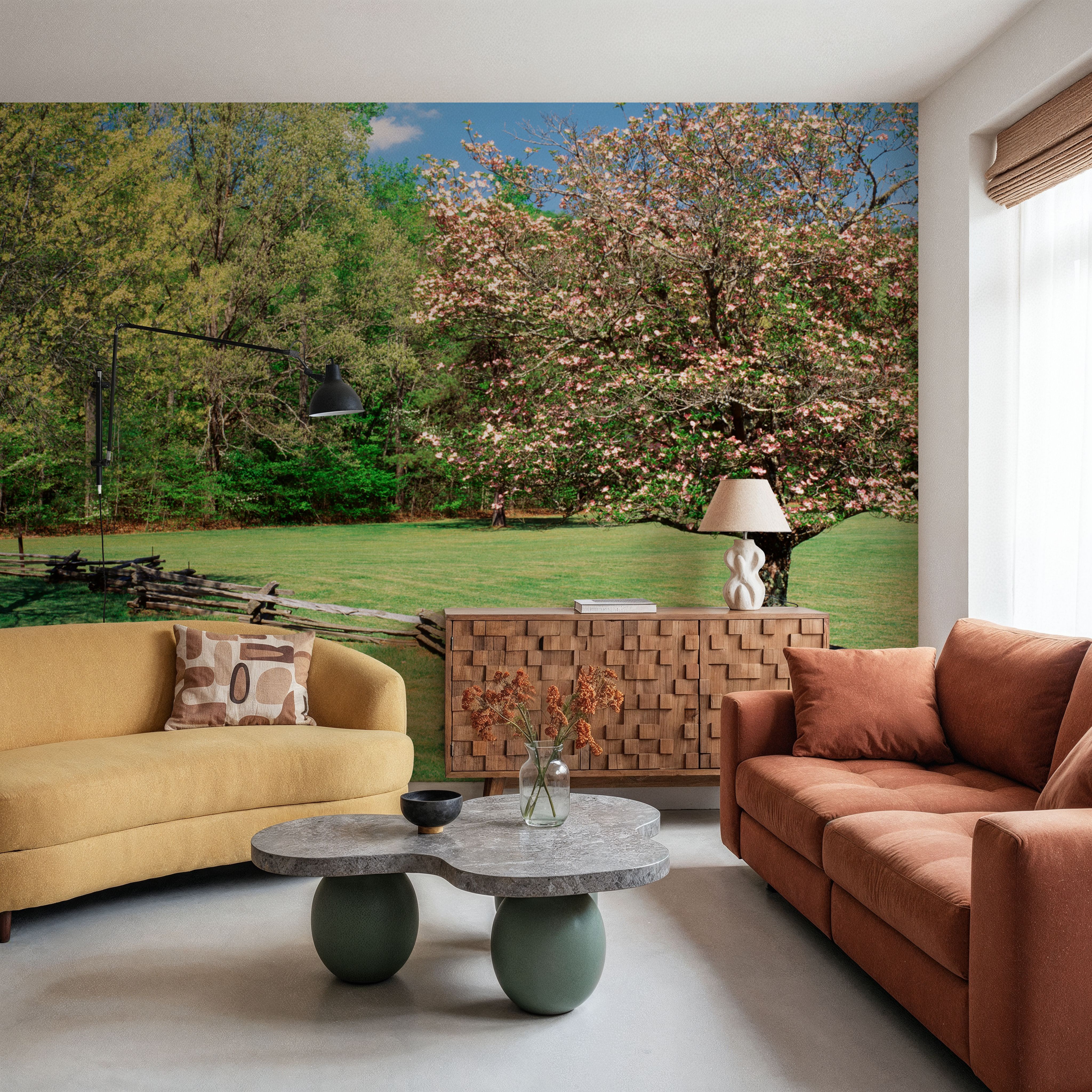 Pisgah National Forest