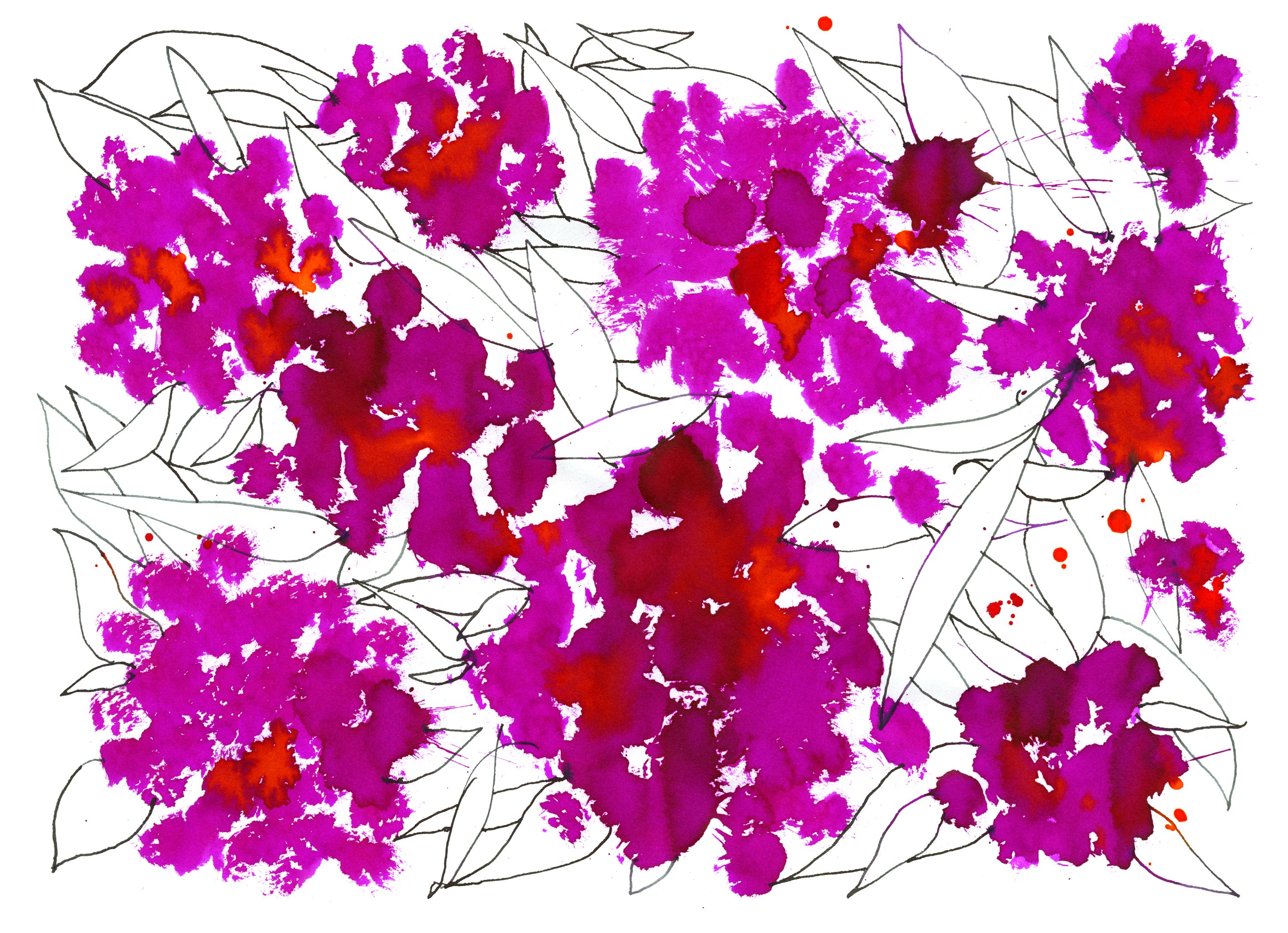 abstract painted pink fluffy flowers