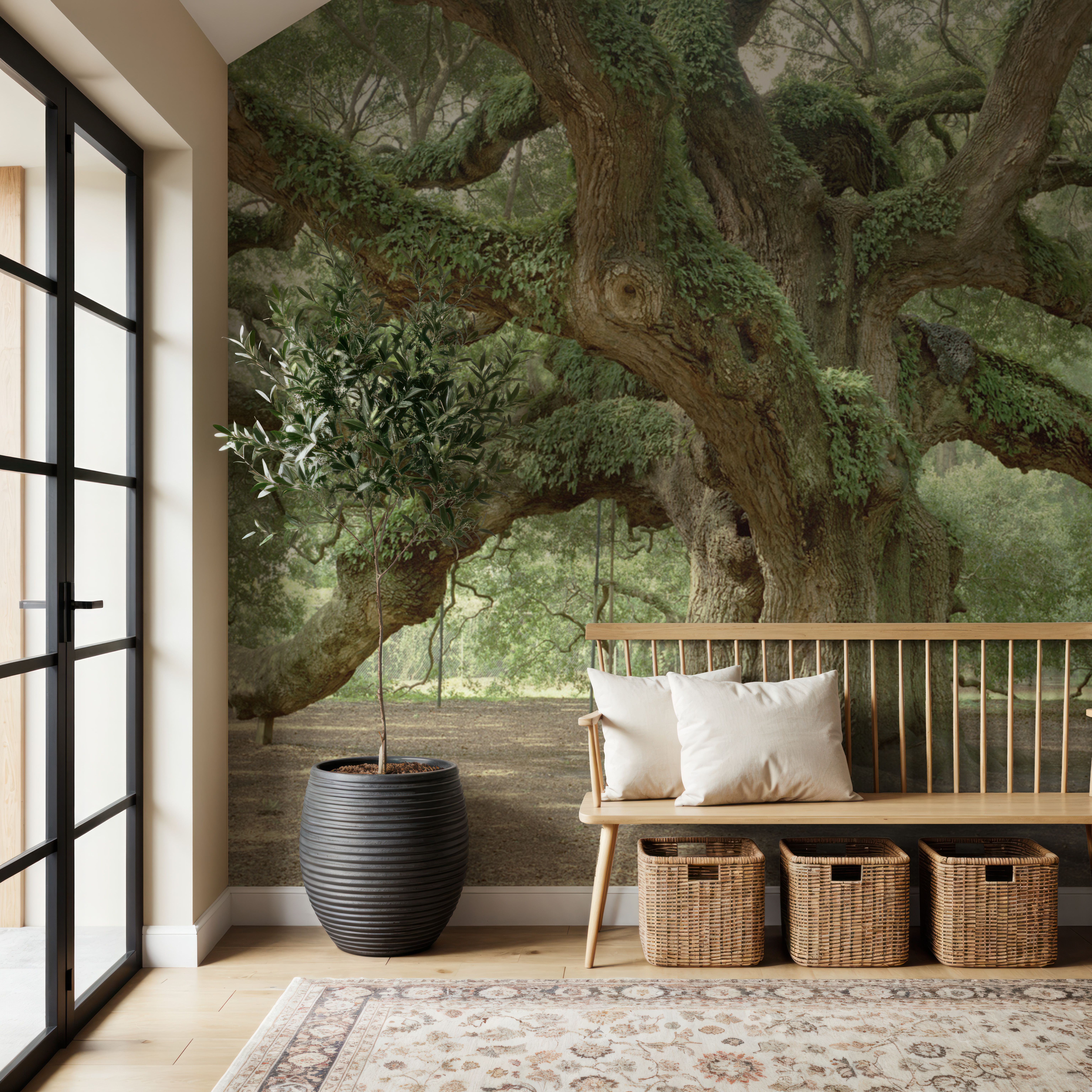 Angel Oak Tree