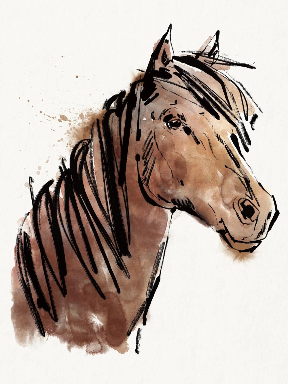 Horse Portrait