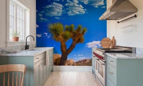 Joshua Tree Blue VII