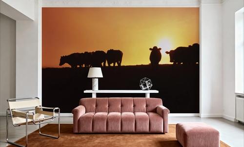 Hillside Cattle Sunset