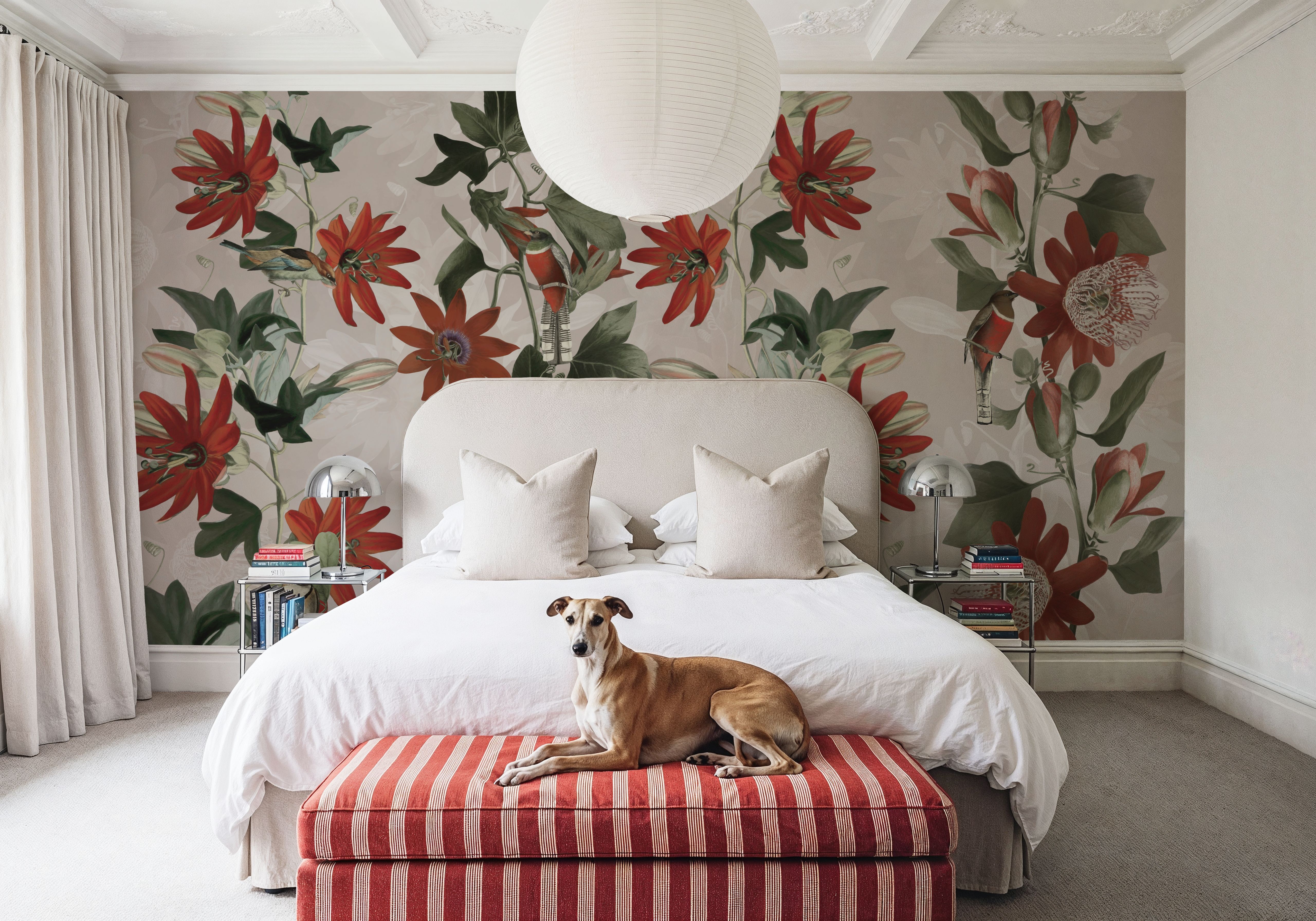 Contemporary Clematis 