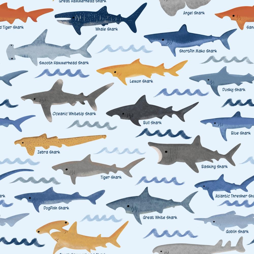Sharks of the World Pattern