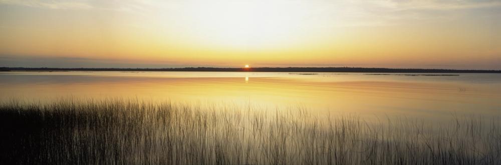 Golden Lake Whispers