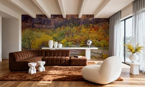 Canyon Autumn Splendor