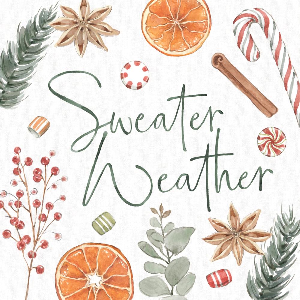 Winter Warmth V