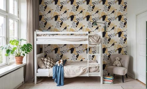 Toucans