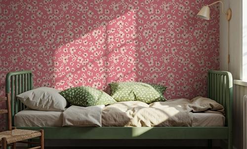 Pink Daisy Dream