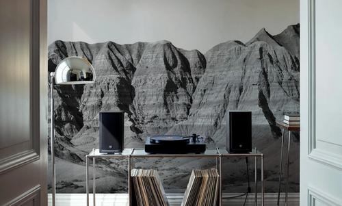 Badlands Black And White