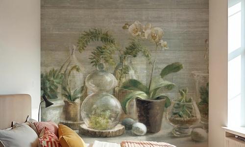Greenhouse Orchids on Wood