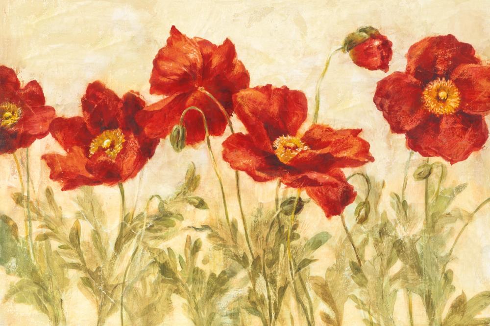 Red Poppies Marching