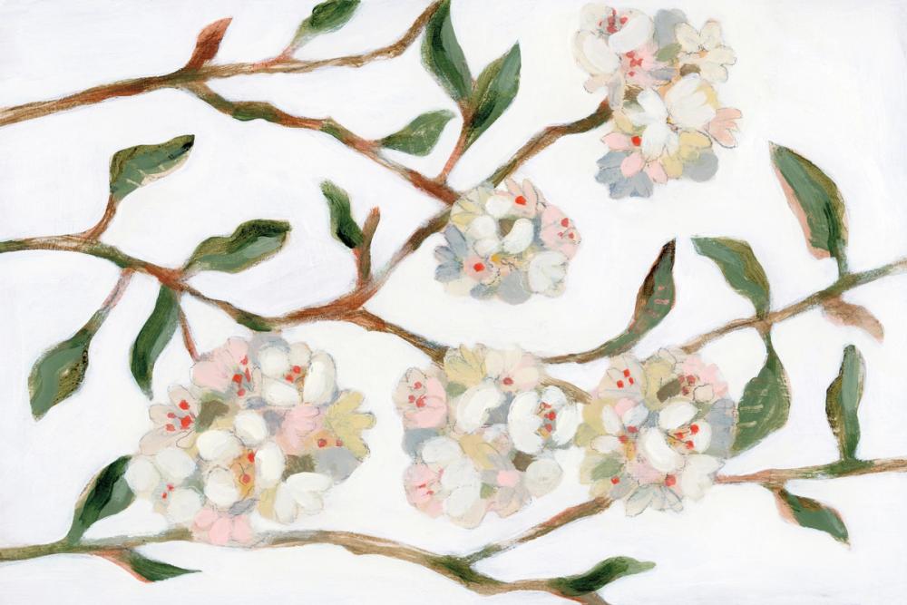 Spring Laurel