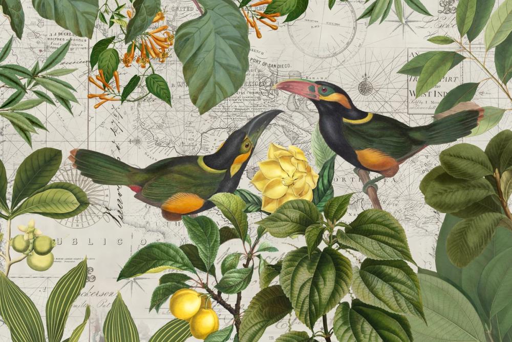 Parrots Nostalgic Journey II