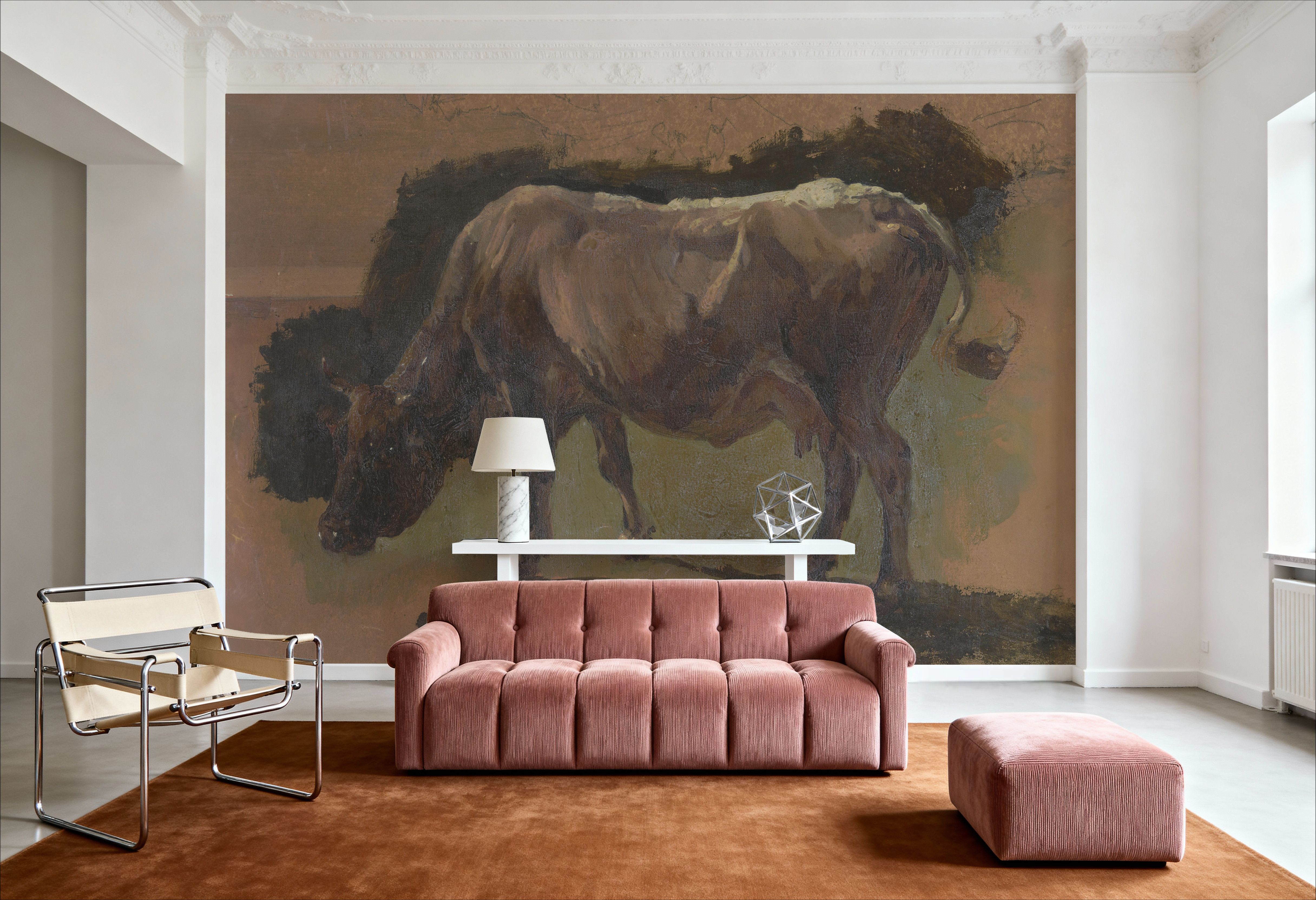 Cow in Albano