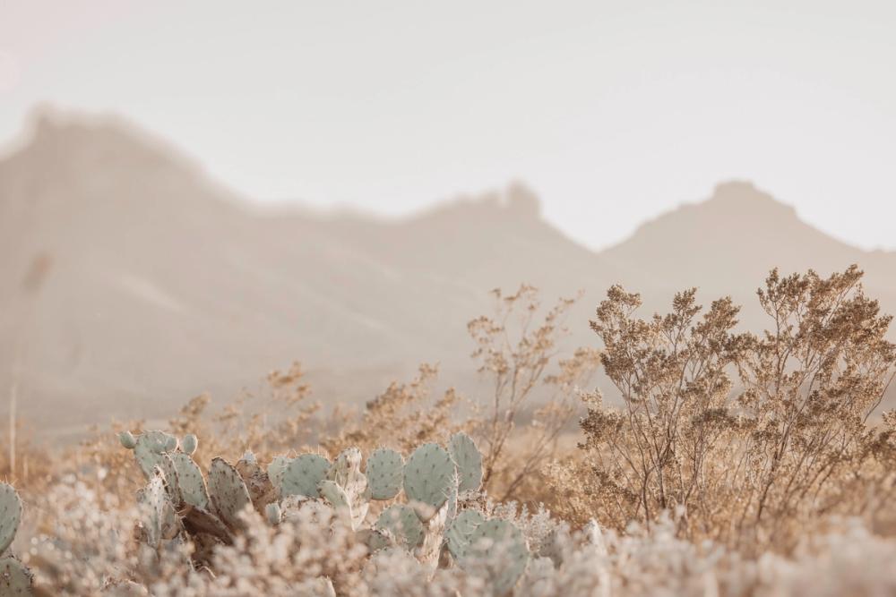 Big Bend National Park