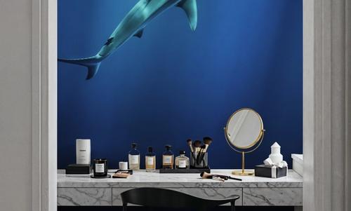 Lone Shark