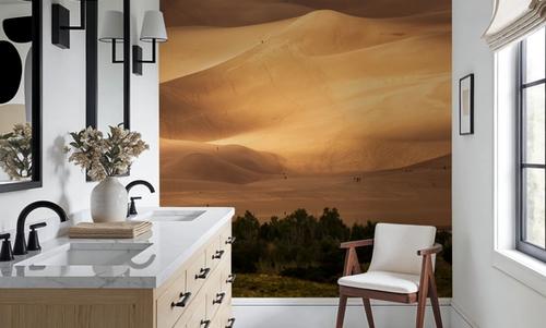 Sunlit Dune