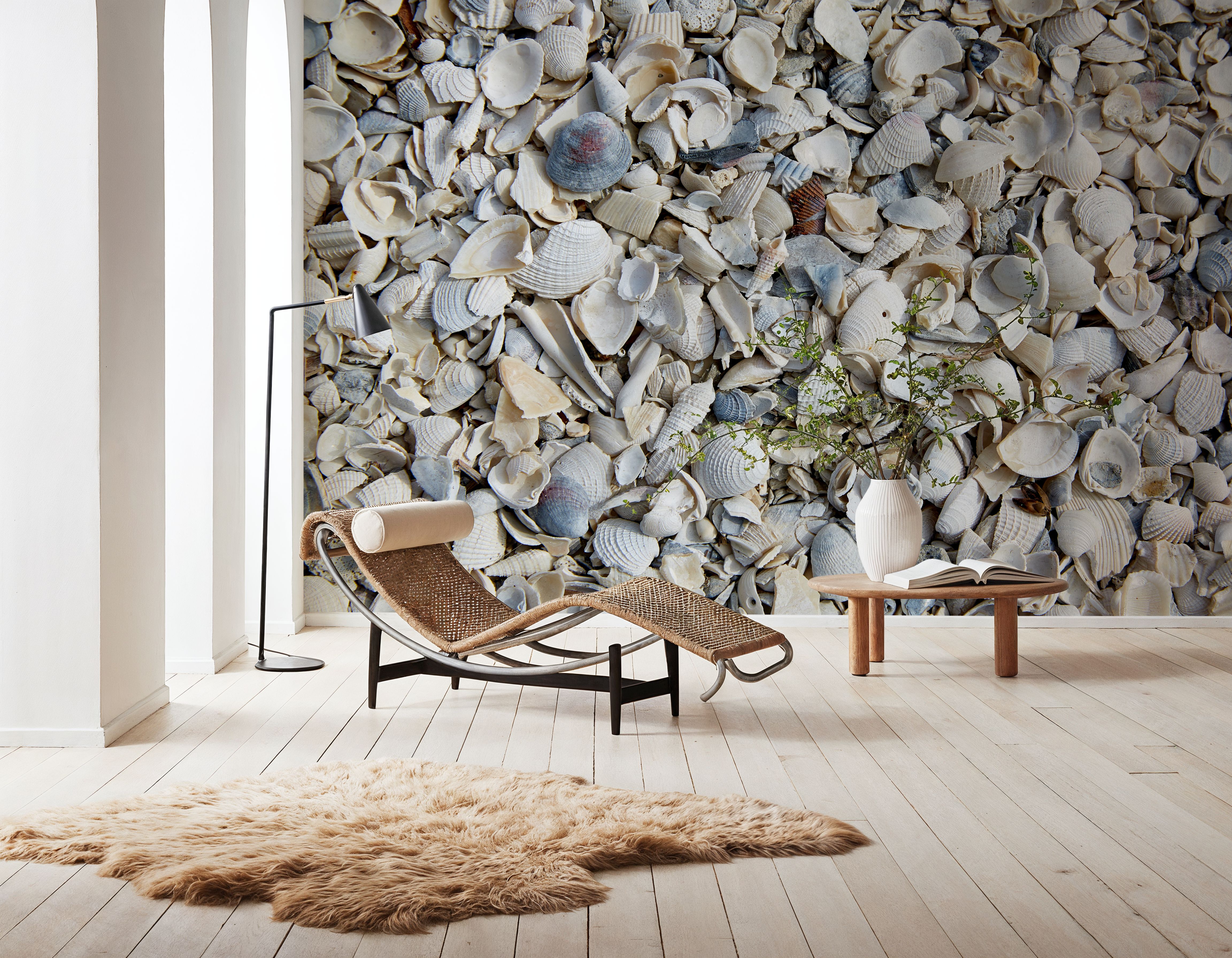 Fort Myers Sea Shells