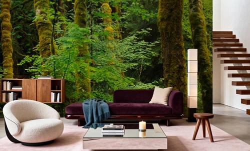 Evergreen Trees
