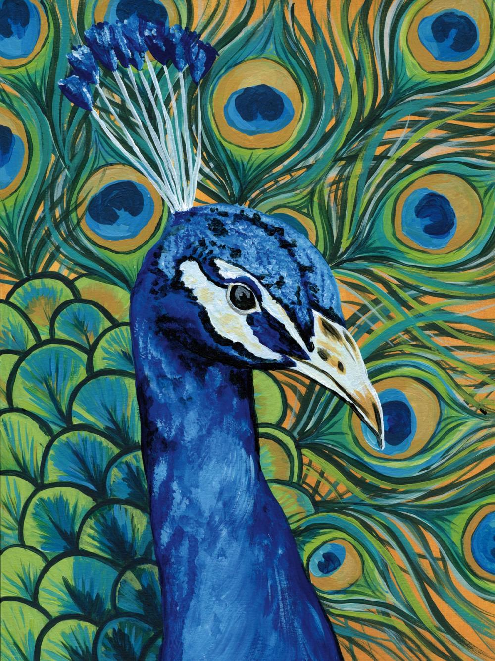 Peacock Profile