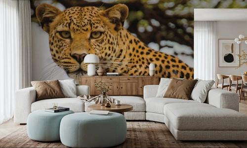 Lounging Leopard