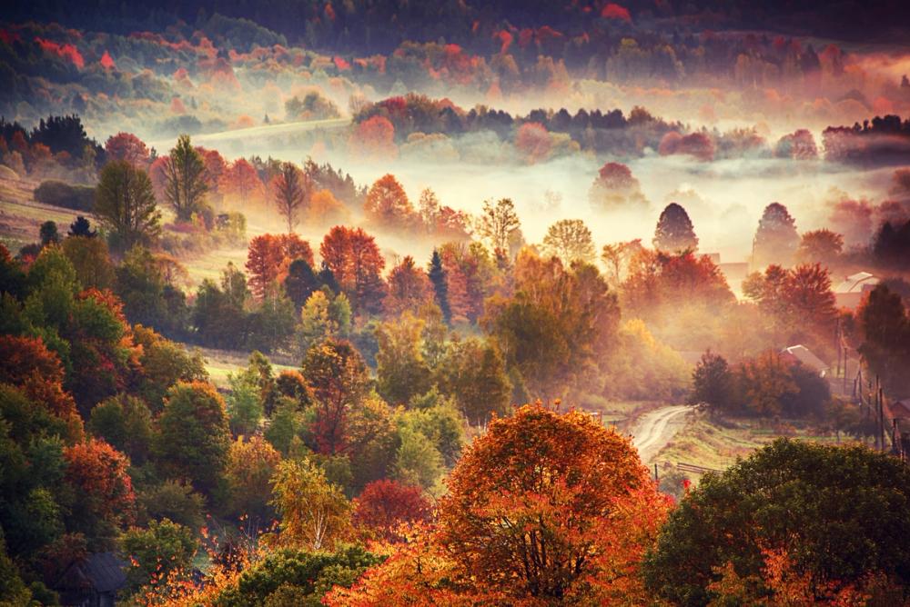 Autumn Mountain Morning