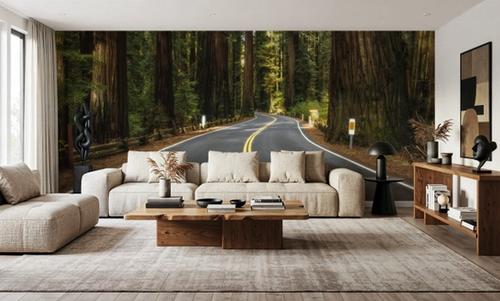 Redwood Odyssey