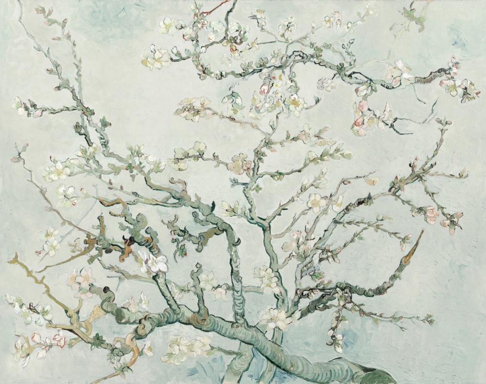 Almond Blossom, Crisp Air