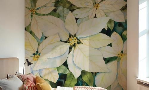 White Poinsettia
