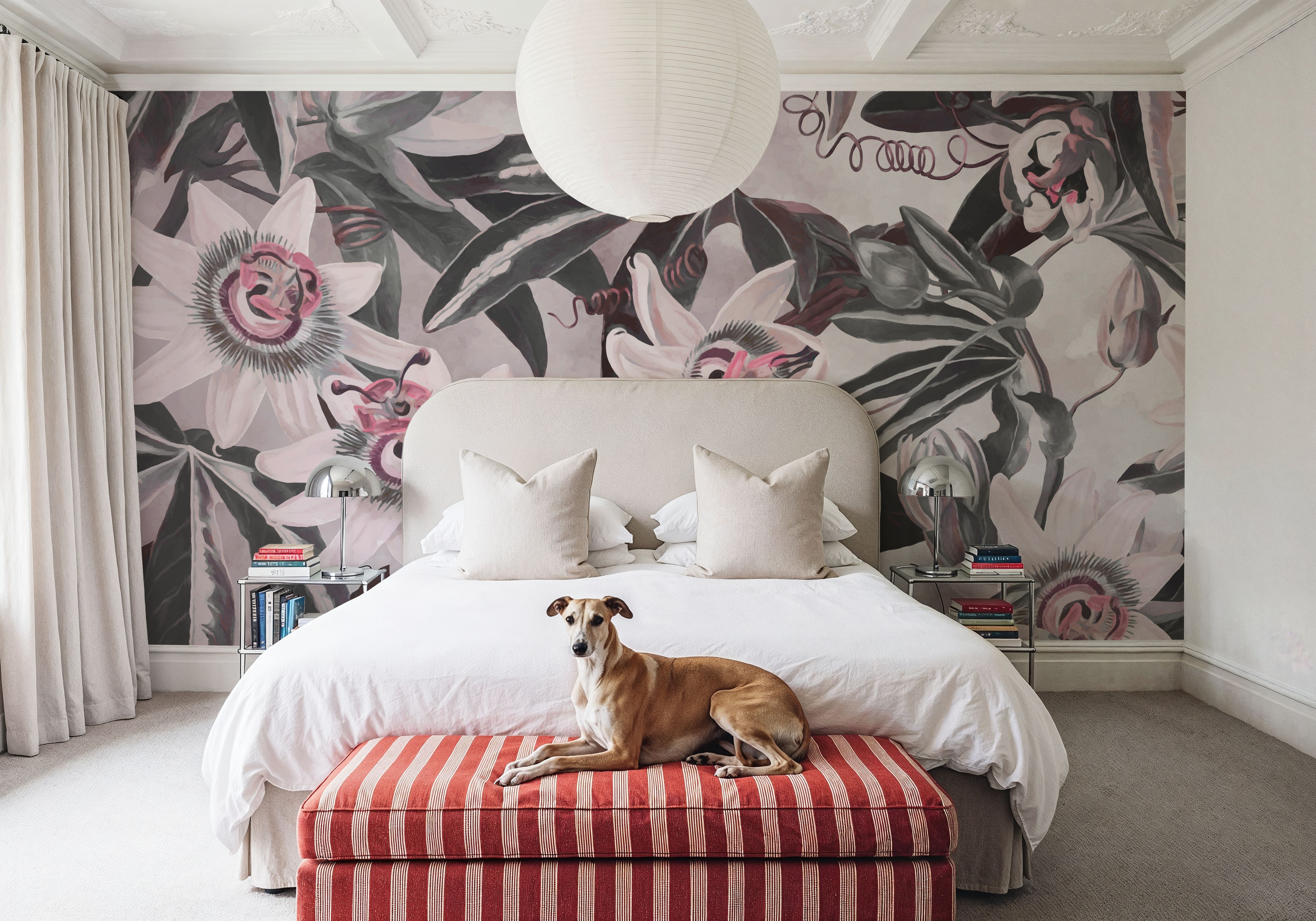 White Passiflora Light Red