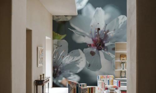 Blossom Reverie