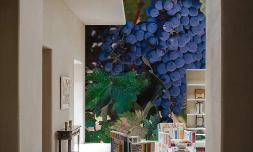 Expensive Grapes