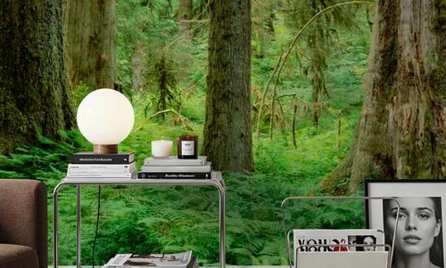 Hoh Rainforest
