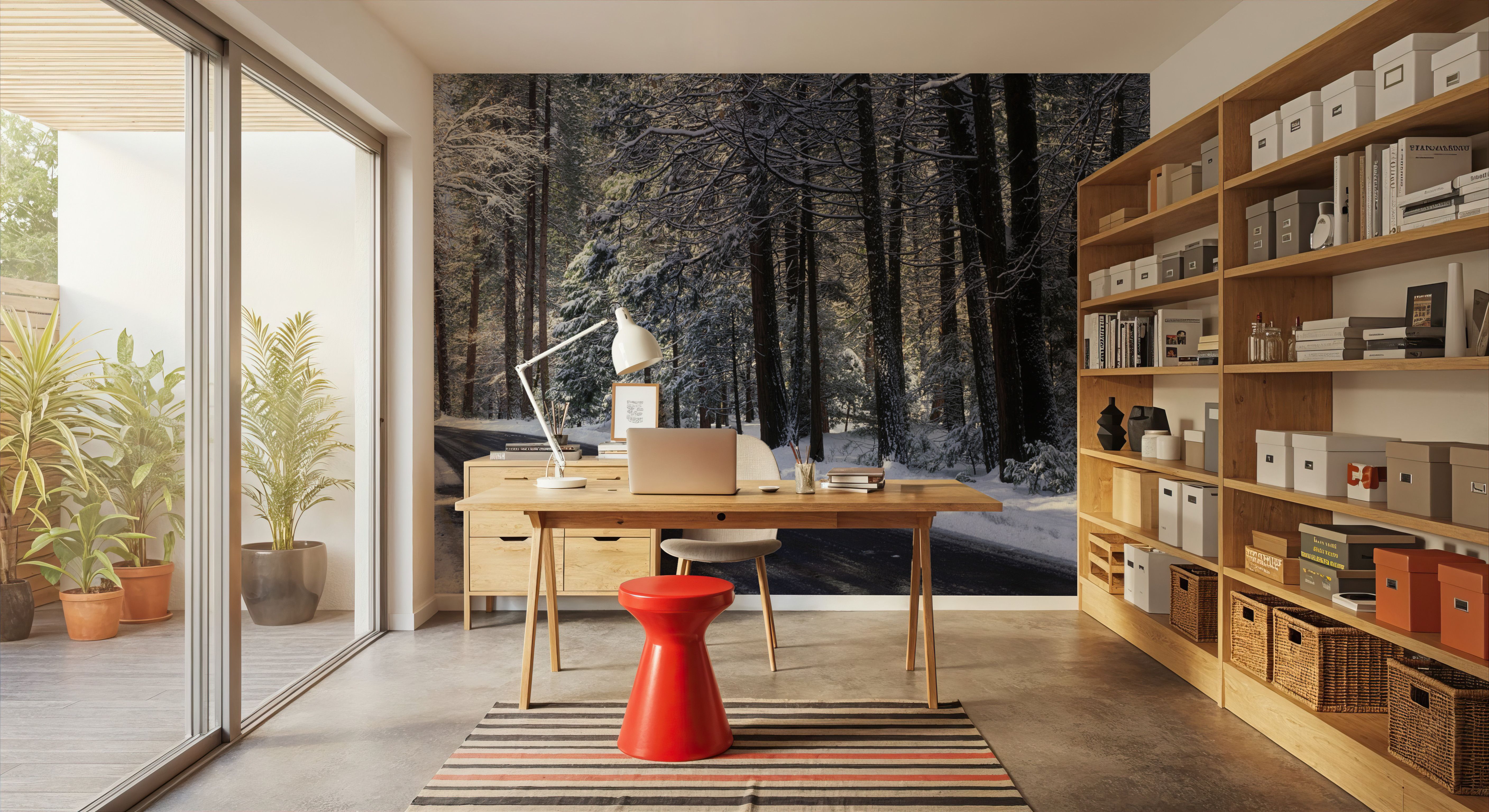 Winter's Passage Forest, Wallpaper