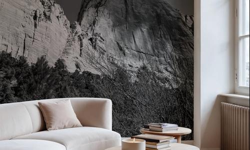 Kolob Canyons Black & White