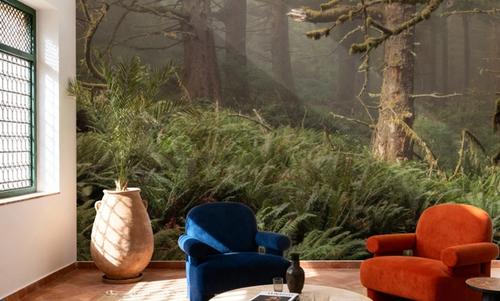 Enchanted Moss