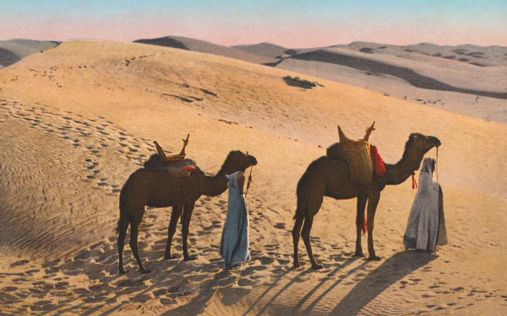 Desert Crossing Postcard - Screenprint