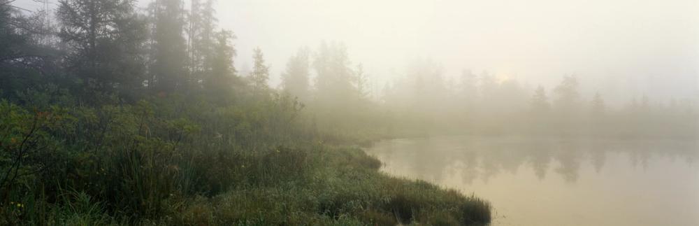 Volo Bog Fog