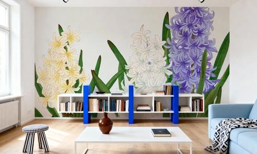 Tanigami Hyacinthus