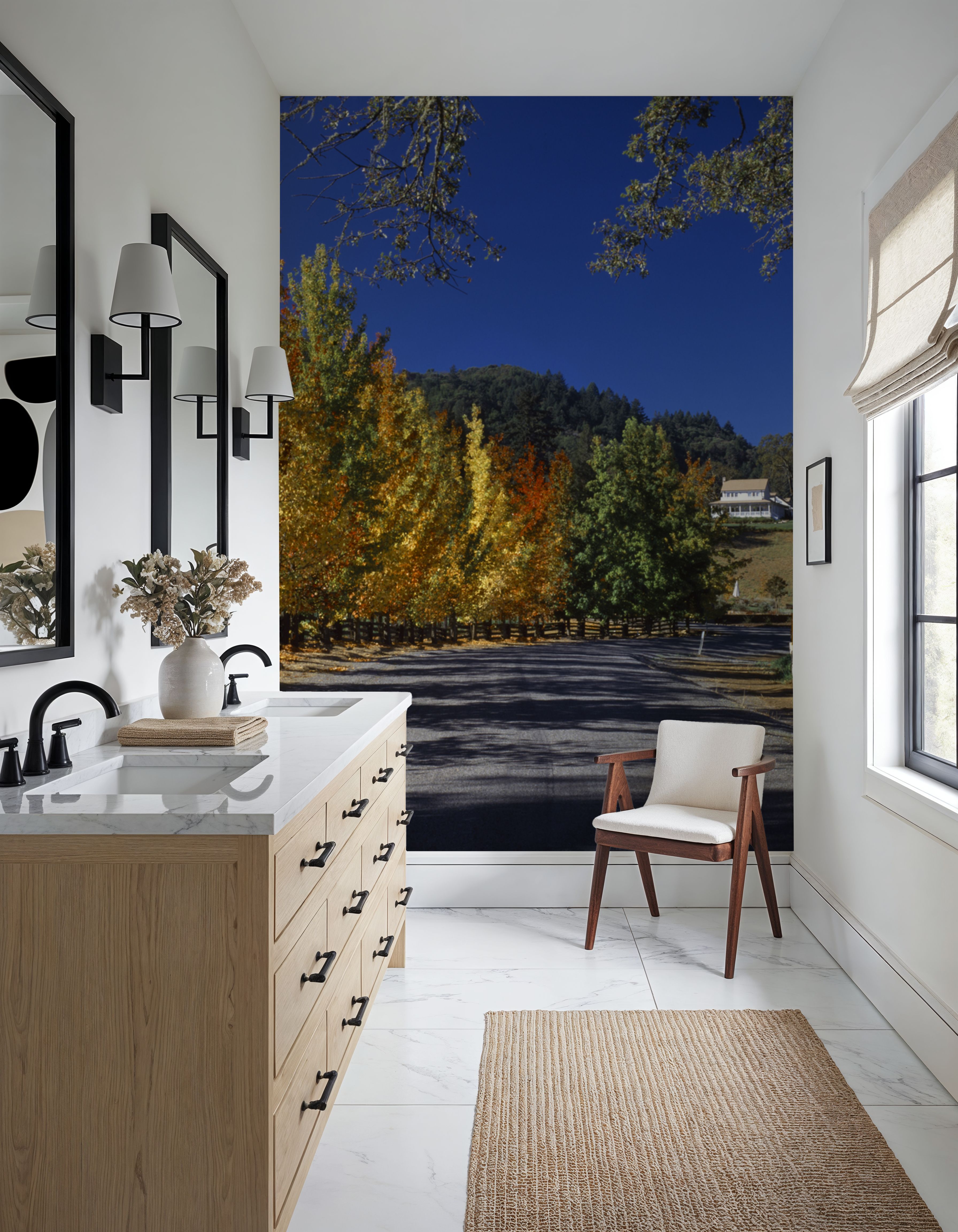 Autumn Vineyard Lane