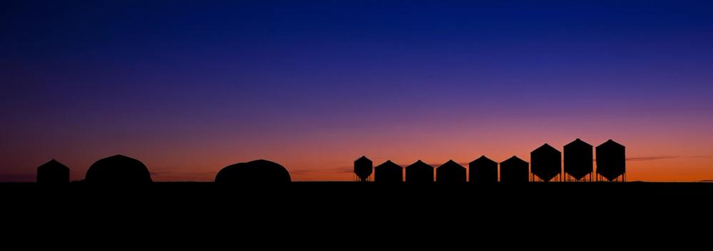 Farm Silhouettes
