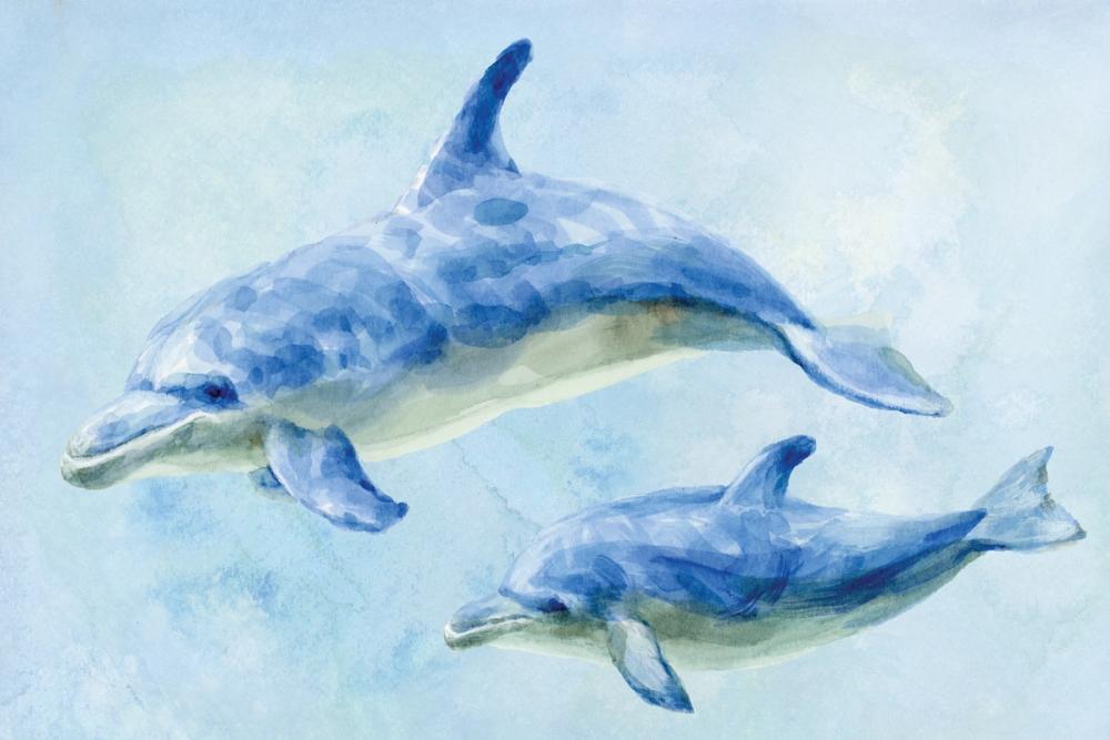 Graceful Dolphins II