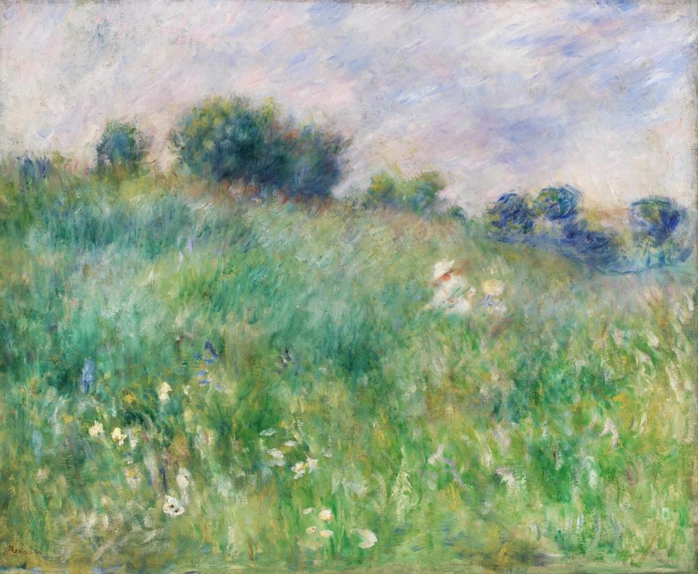Meadow